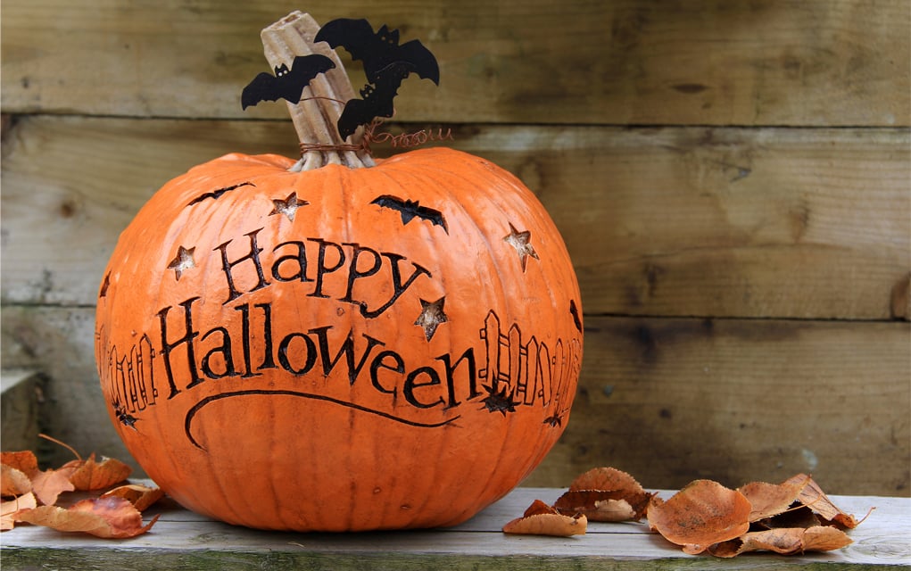 6 Silly Facts You Didn’t Know About Halloween…